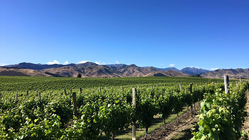 Marlborough