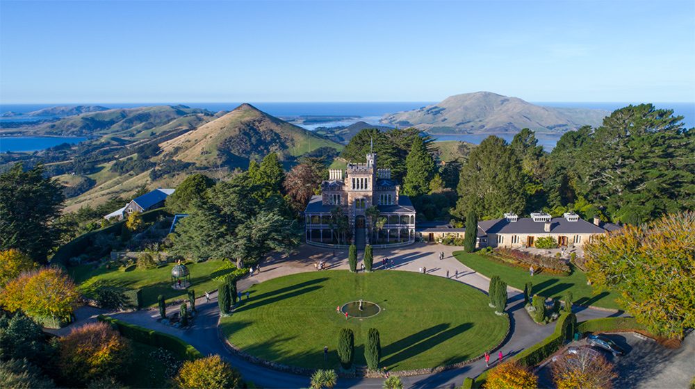 36 Hours in Dunedin Verve Magazine