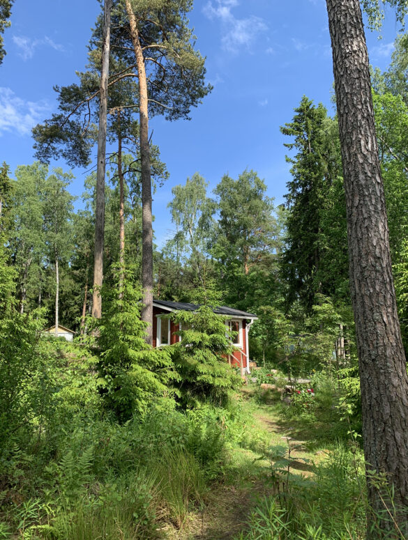 Off Grid Home