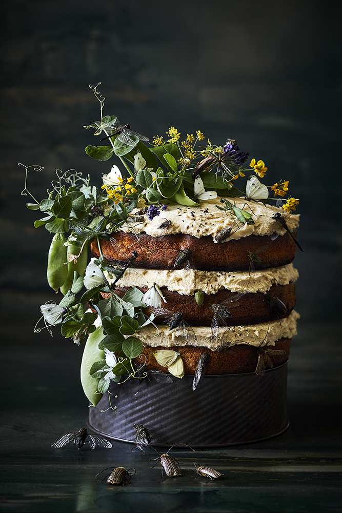 The Bug Project. Eadible insects. Food styling and recipe by Fiona Hugues. Photography by Manja Wachsmuth. Lemon Honey Picnic Cake with Lemongrass Ants, Bug Medley and edible flowers.