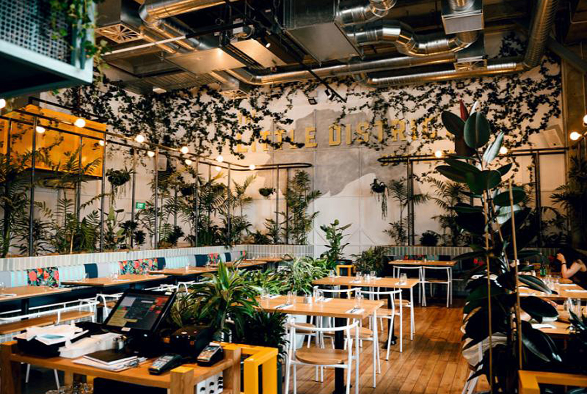 kid friendly cafe - little district