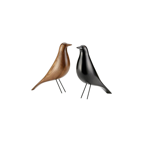 house birds