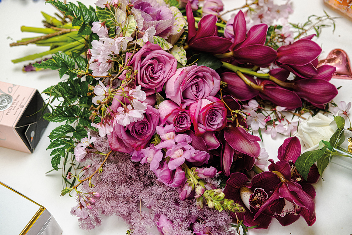the wild rose