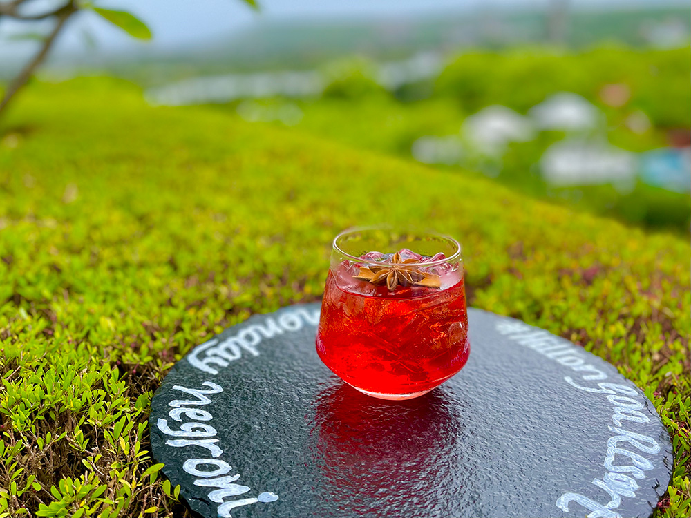 Cocktail Recipe