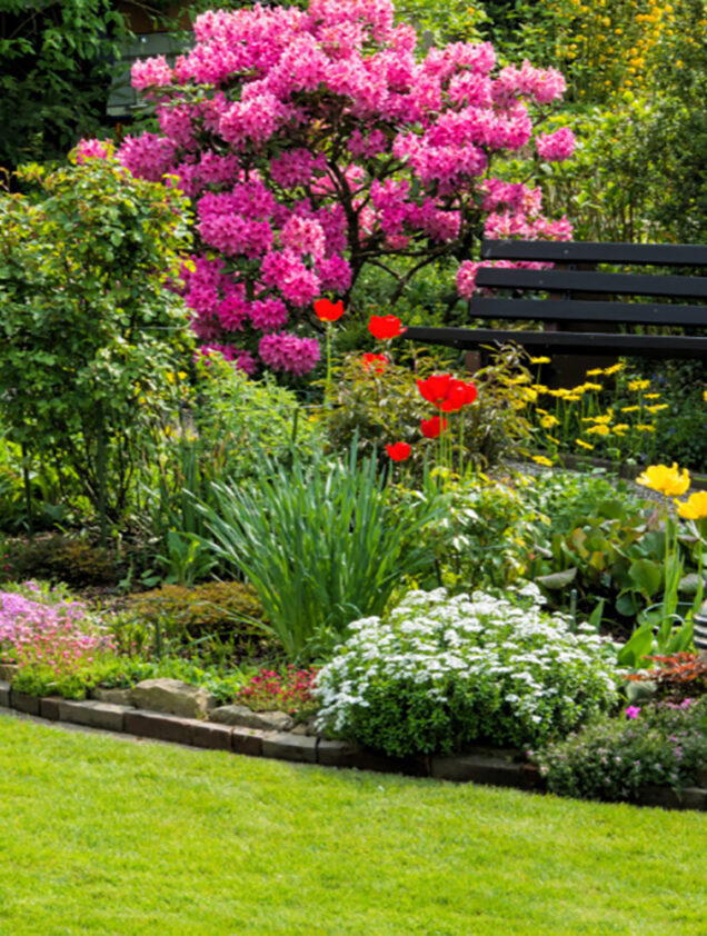 Palmers Garden