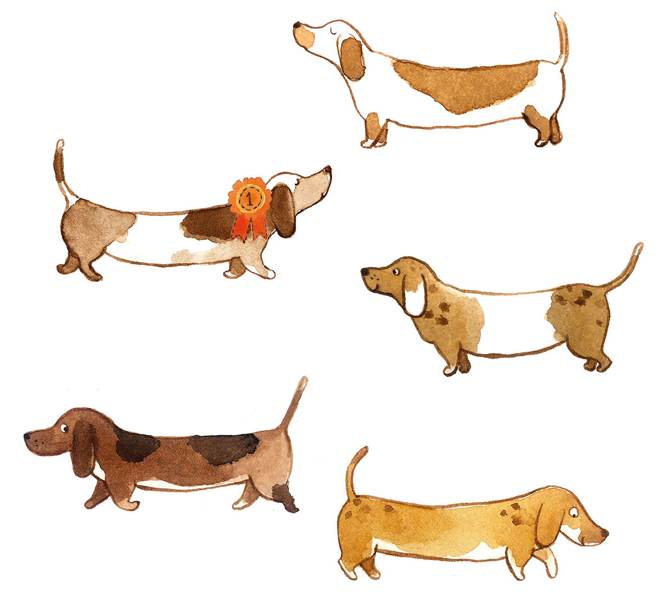 Cat-Champman-dachshunds