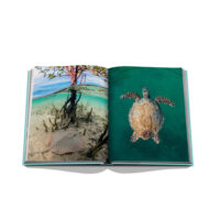 Red Sea: The Saudi Coast - Image 3
