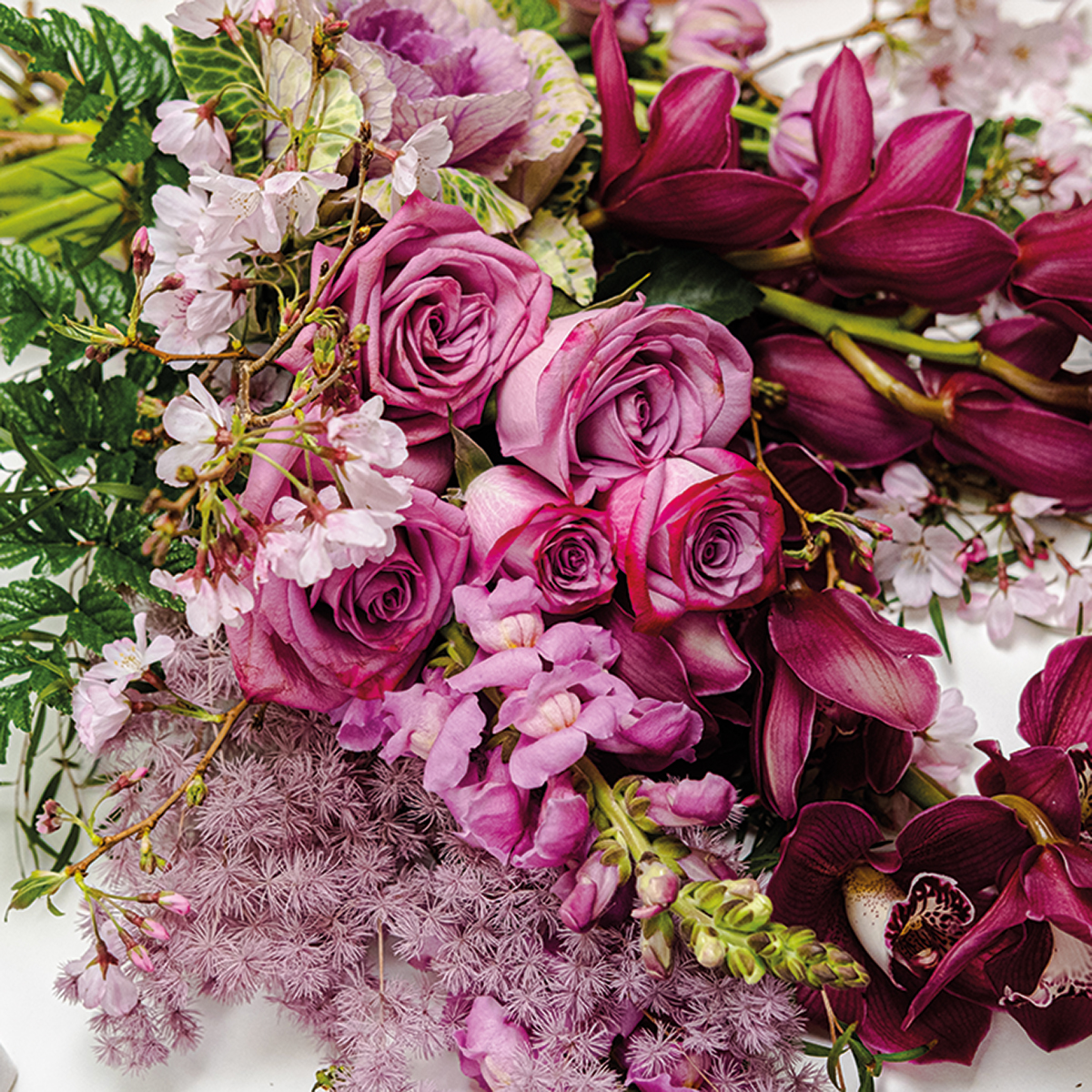 the wild rose