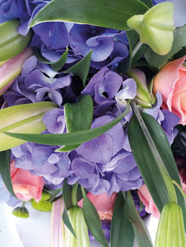 flowers of st johns