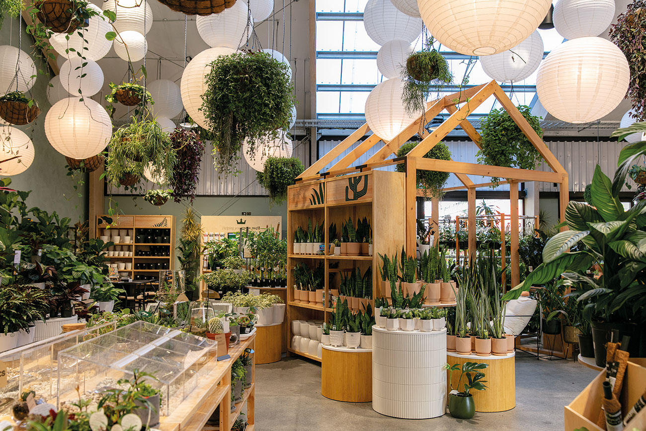kings plant barn