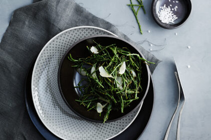studio tableware