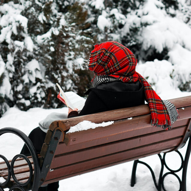 winter bookshelf