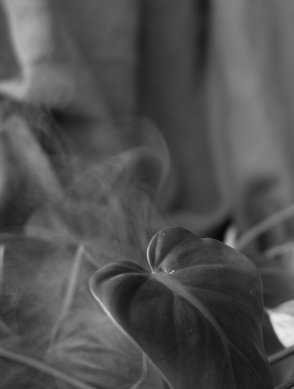 aesthetic treatments