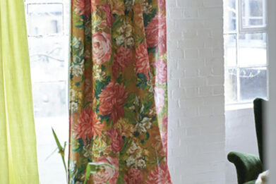 allium interiors