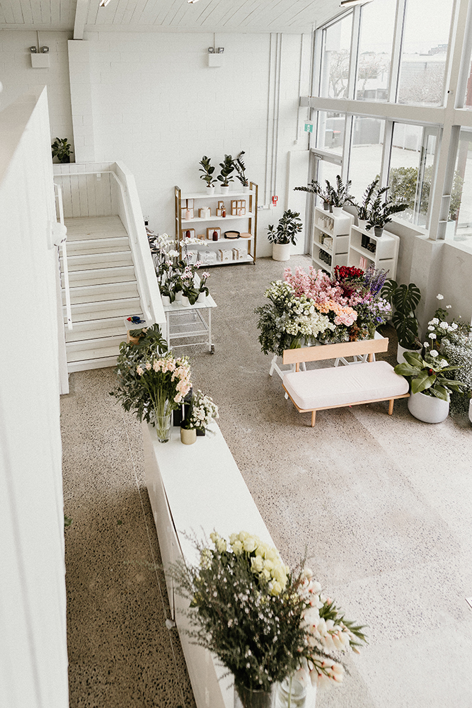 wild poppies florist