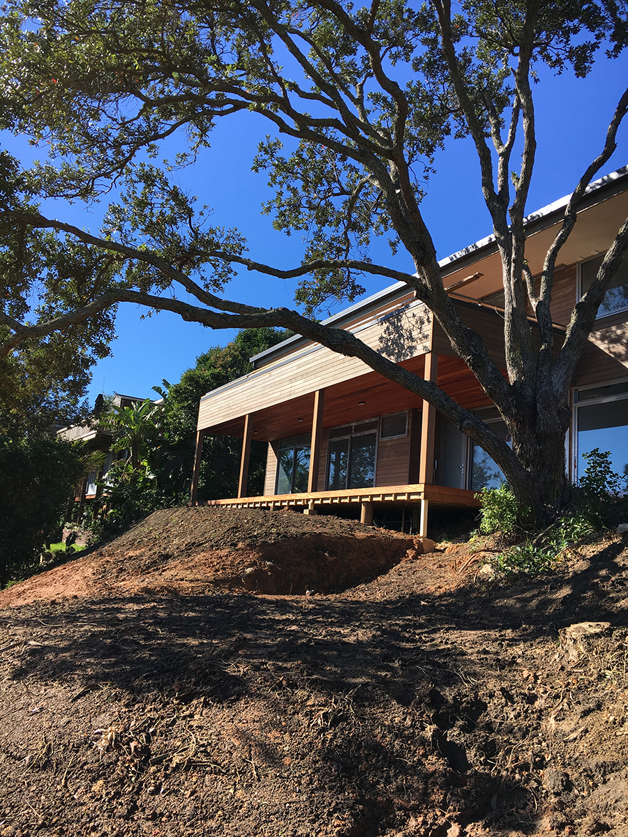 waiheke holiday homes
