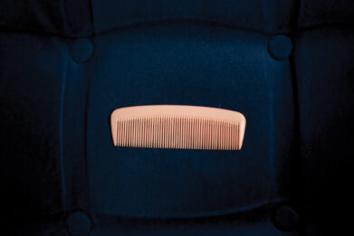 image: Greta Anderson, Mary's Comb, Courtesy of Te Uru