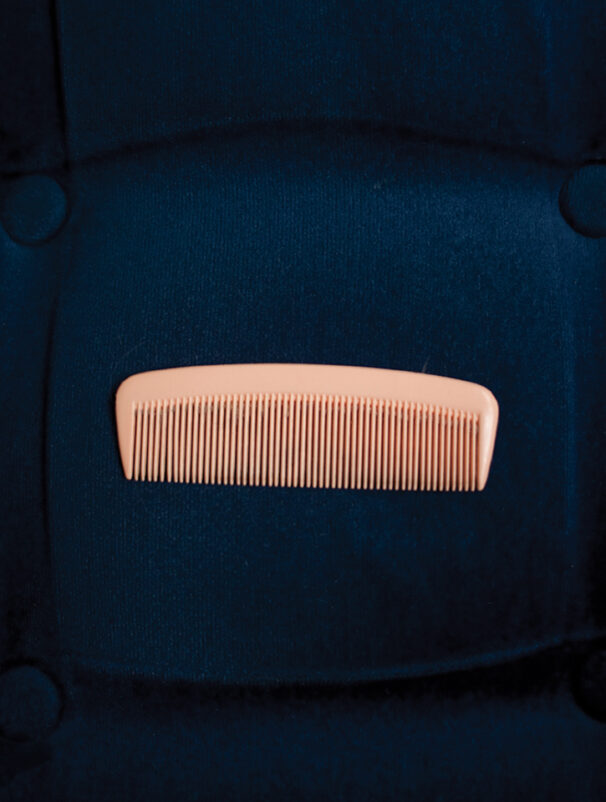 image: Greta Anderson, Mary's Comb, Courtesy of Te Uru