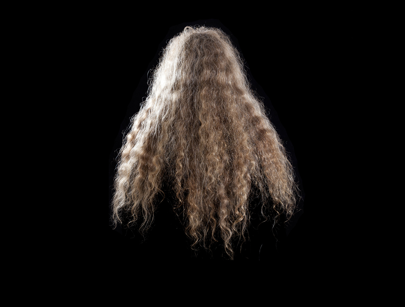 Greta Anderson - Fay's Hair. Image courtesy of Te Uru
