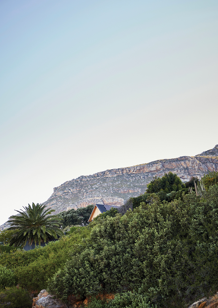 cape town home
