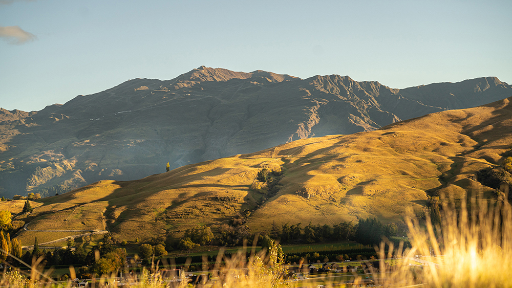 Kawarau Heights