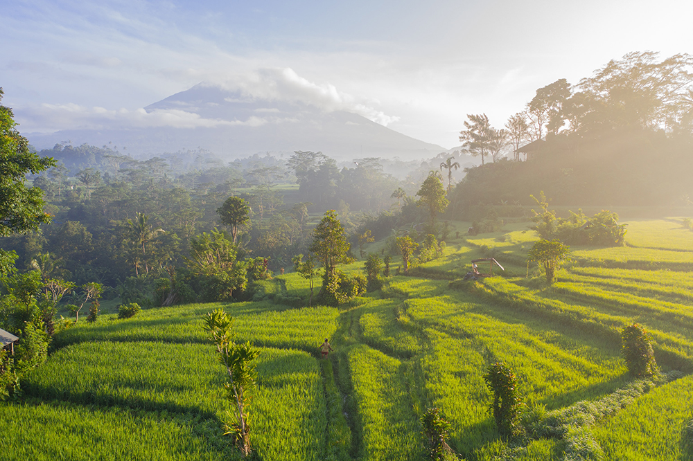 She Evolves | Bali - The Life Retreat