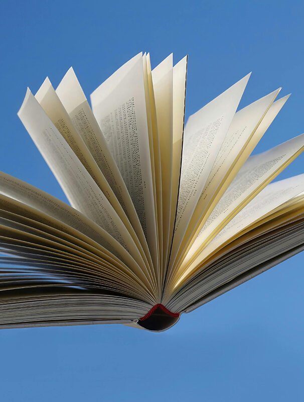 Unputdownable Novels