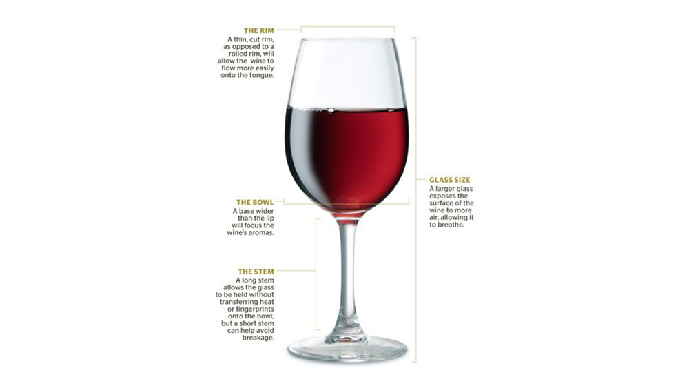 Wine Glass Anatomy